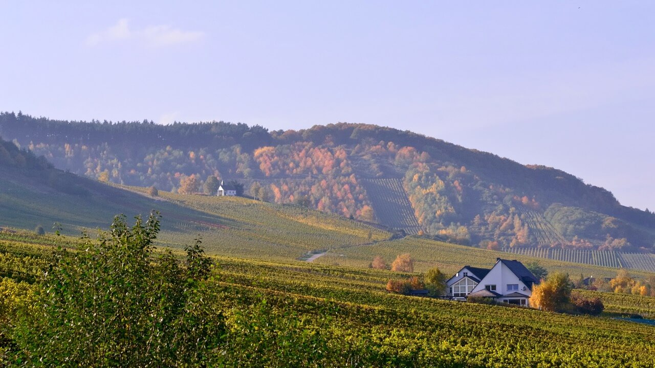 Ansicht Weingut Blees Ferber Leiwen