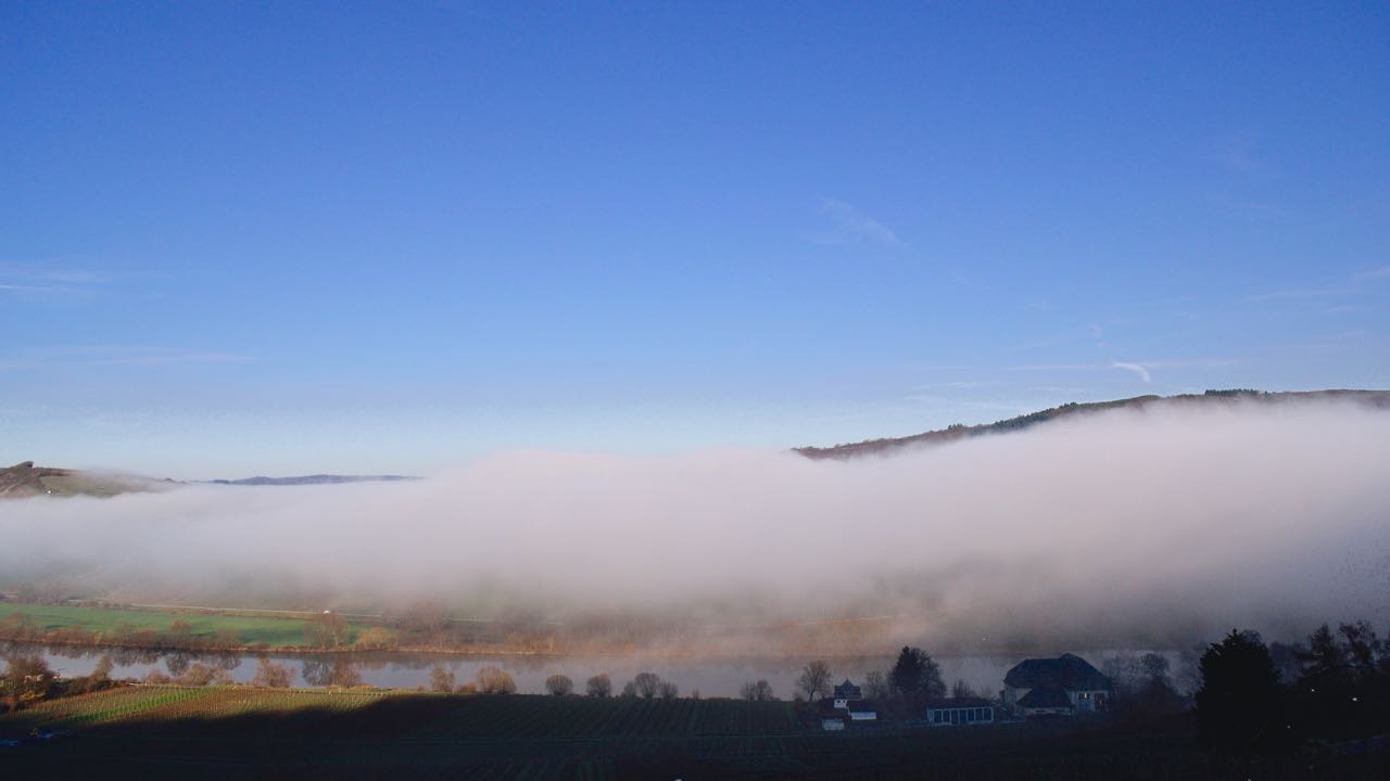 Leiwener Laurentiuslay im Nebel